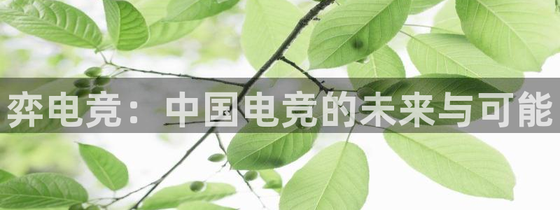 安博电竞网站官网入口手机版